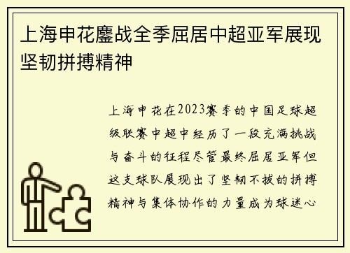 上海申花鏖战全季屈居中超亚军展现坚韧拼搏精神 上海申花鏖战全季屈居中超亚军展现坚韧拼搏精神